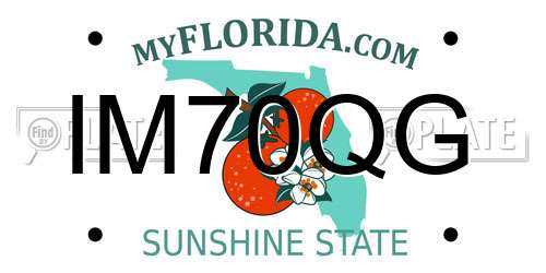 IM70QG Florida License Plate