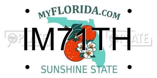 IM71TH Florida License Plate