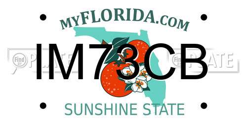 IM73CB Florida License Plate
