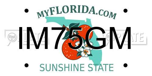 IM75GM Florida License Plate