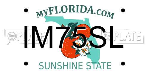IM75SL Florida License Plate