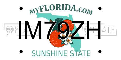 IM79ZH Florida License Plate