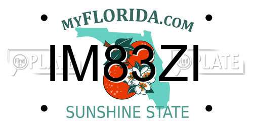 IM83ZI Florida License Plate