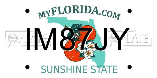 IM87JY Florida License Plate