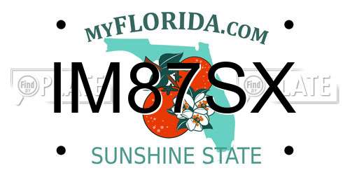 IM87SX Florida License Plate