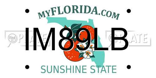 IM89LB Florida License Plate