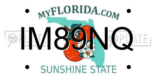 IM89NQ Florida License Plate