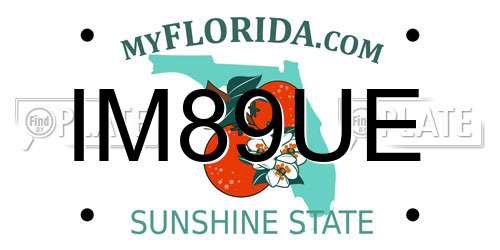IM89UE Florida License Plate