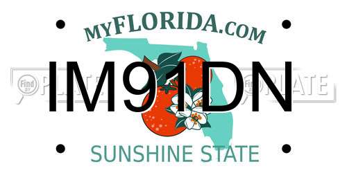 IM91DN Florida License Plate