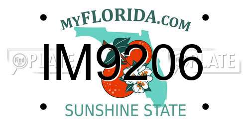 IM9206 Florida License Plate