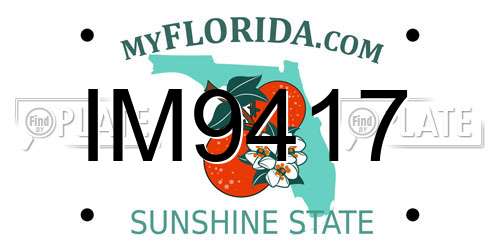 IM9417 Florida License Plate