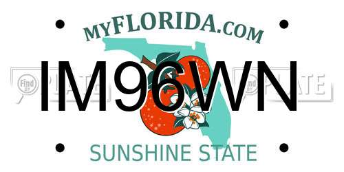 IM96WN Florida License Plate