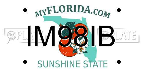 IM98IB Florida License Plate