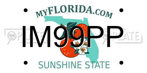 IM99PP Florida License Plate
