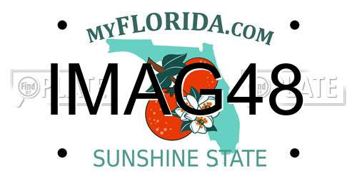 IMAG48 Florida License Plate