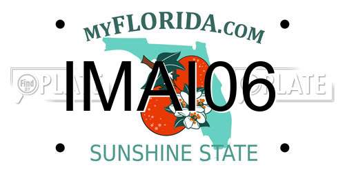 IMAI06 Florida License Plate