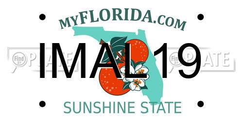 IMAL19 Florida License Plate