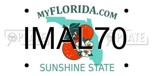 IMAL70 Florida License Plate