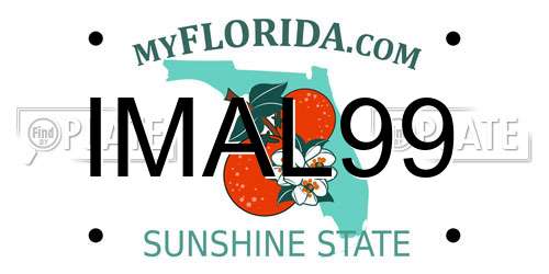 IMAL99 Florida License Plate