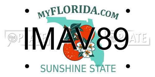 IMAV89 Florida License Plate