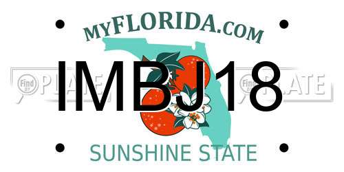 IMBJ18 Florida License Plate