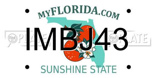 IMBJ43 Florida License Plate