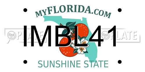 IMBL41 Florida License Plate