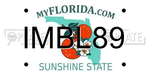 IMBL89 Florida License Plate