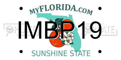 IMBP19 Florida License Plate