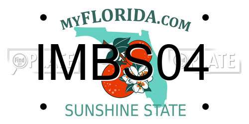 IMBS04 Florida License Plate