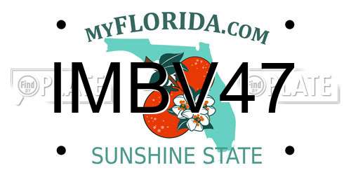 IMBV47 Florida License Plate