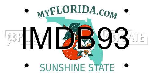 IMDB93 Florida License Plate