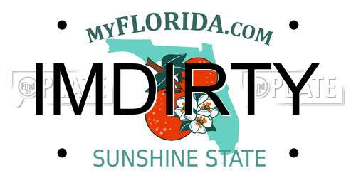 IMDIRTY Florida License Plate