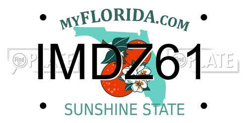 IMDZ61 Florida License Plate