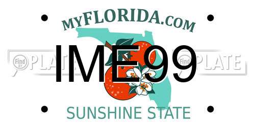 IME99 Florida License Plate