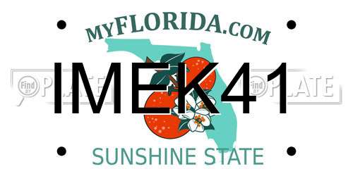 IMEK41 Florida License Plate