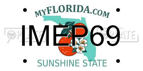IMEP69 Florida License Plate