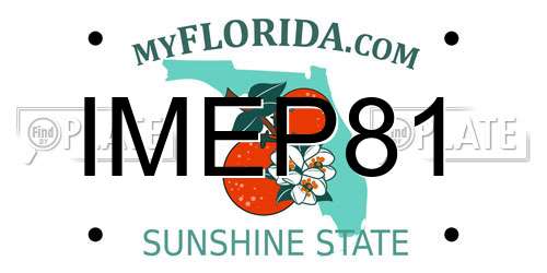 IMEP81 Florida License Plate