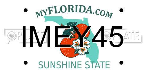 IMEY45 Florida License Plate