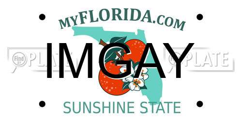 IMGAY Florida License Plate