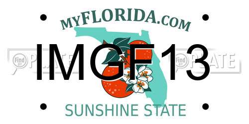 IMGF13 Florida License Plate