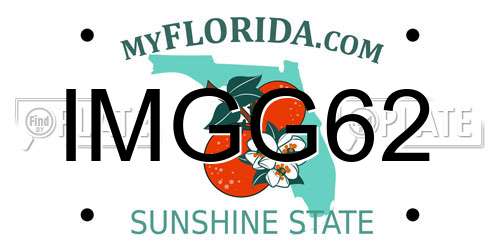 IMGG62 Florida License Plate