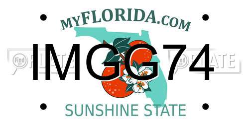 IMGG74 Florida License Plate