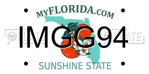 IMGG94 Florida License Plate
