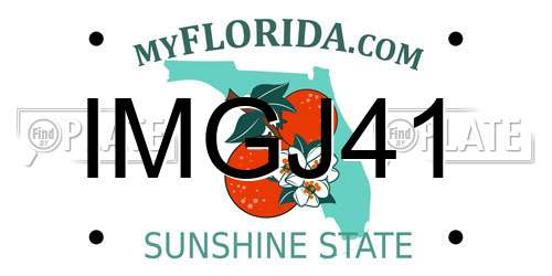 IMGJ41 Florida License Plate