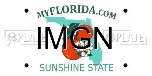 IMGN Florida License Plate
