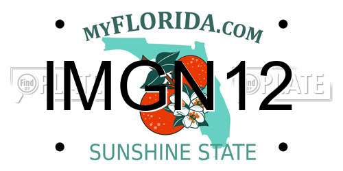 IMGN12 Florida License Plate