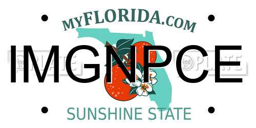IMGNPCE Florida License Plate