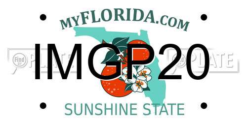 IMGP20 Florida License Plate