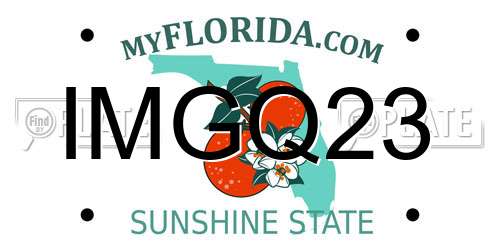 IMGQ23 Florida License Plate